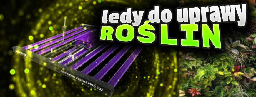 Ledy  do roślin