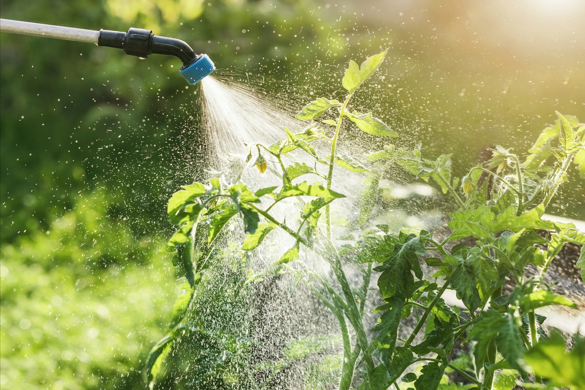 Spryskiwacze do roślin – klucz do zdrowia zieleni