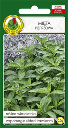 Nasiona Mięta Pieprzowa
