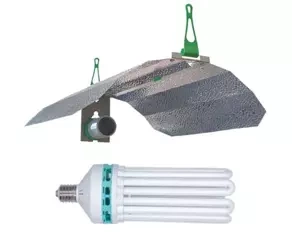 Kompletny Zestaw CFL 250W Phytolite Dual