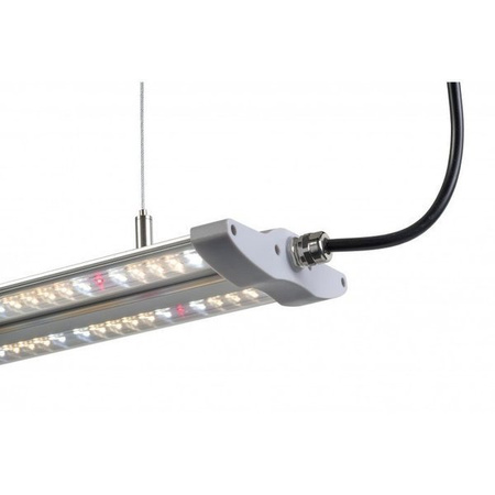Hortimol T-LED 60W