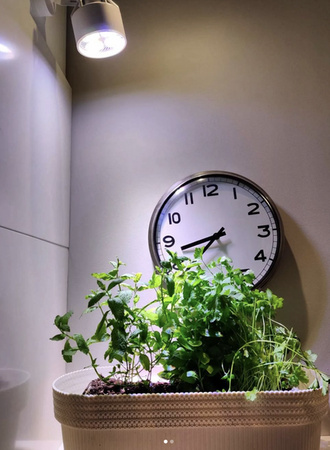 Żarówka Led Verticana, 35W, Biała, Soczewka 15 °