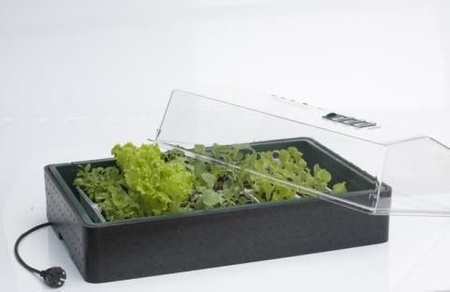Propagator Podgrzewany 64/50W 60x40cm