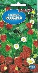 Nasiona Poziomek Rujana