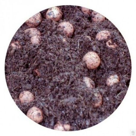 Plagron Hydro Cocos 60/40 45L