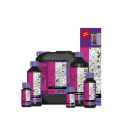 B'CUZZ Bloom Stimulator - Stymulator Kwitnienia 5L
