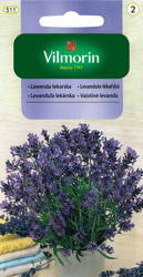 Nasiona Lawendy Lekarskiej
