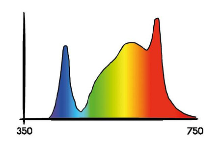 Lampa LED Cosmorrow Secret Jardin 40W Kwitnienie