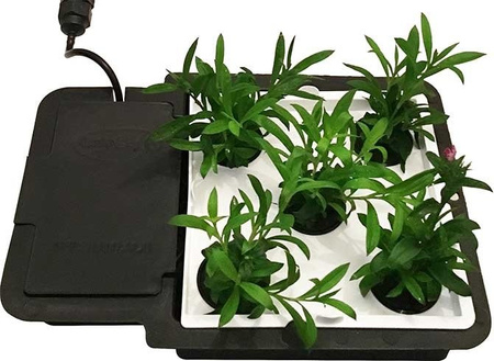 Taca Aquapalte do systemu 1Pot i Easy2Grow