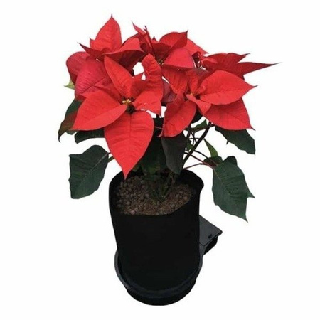 AutoPot SmartPot XL - 8 Donic 18,9L + Zbiornik Flexi Tank 100L