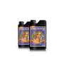 Advanced nutrients Sensi Bloom A i B, 2x10L