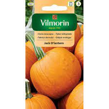 Nasiona Dynia Zwyczajna