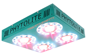 Lampa LED Phytolite Clorofilla 330W , Do Uprawy Roślin