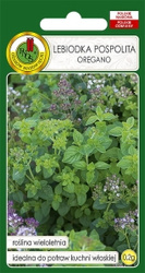 Nasiona Oregano