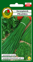 Nasiona Szczypiorku Prazska