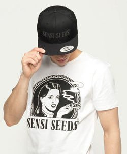 Oryginal Sports T-Shirt Sensi Seeds, Rozm.S-XXL