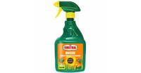 Substral Mniszek Spray 750ml