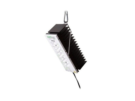SANlight Lampa LED M30 Wzrost + Kwitnienie