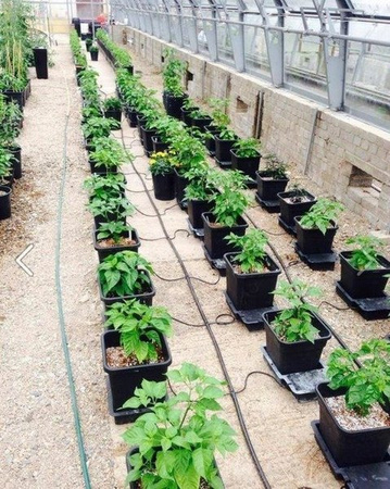 AutoPot 1Pot - 48 Donic 15L + Zbiornik Flexi Tank 400L