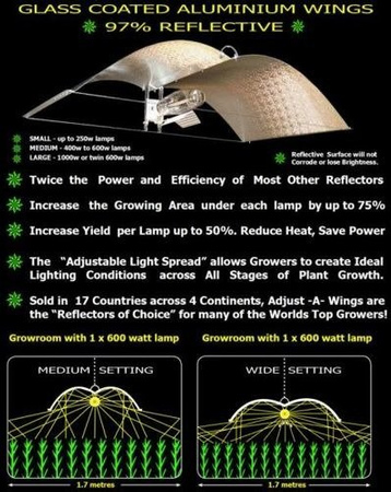 Odbłyśnik/Reflektor Adjust-A-Wing Large + Spreader