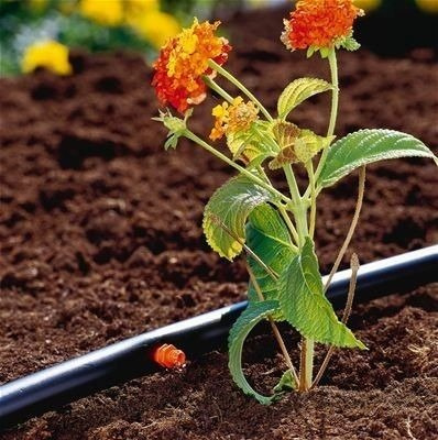 Micro-Drip - Kroplownik końcowy 2L/h