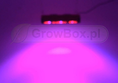 Odbłyśnik koncentrujący PhytoLED seria GX.dla modelu GX300