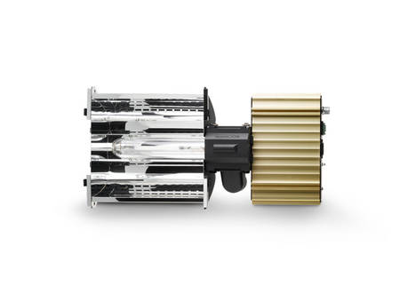 Zestaw DimLux, Seria Expert 600W EL UHF, Żarówka Philips 600W, Odbłyśnik Alpha Optics 98