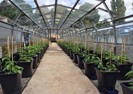 AutoPot 1 Pot XL - 60 Donic 25L + Zbiornik Flexi Tank 400L