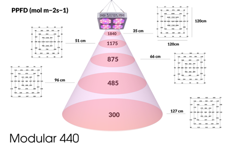 Lampa LED LuckyGrow 440W Soczewka 120º