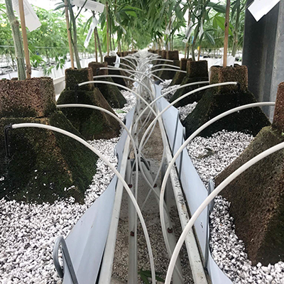 EazyPlug Piramida 4,8L