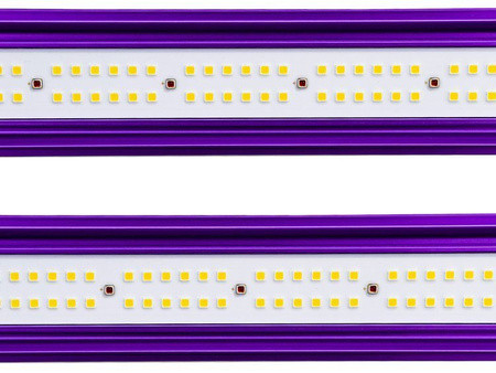 LUMATEK ZEUS LED 1000W Xtreme PPFD CO2 2.9 umol/J