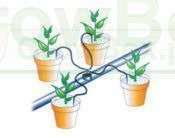 Czwórnik z wężykiem 4 kroplowniki