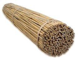 Tyczki bambusowe do Roślin, Dł.120cm