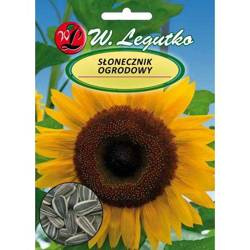 Nasiona Słonecznika