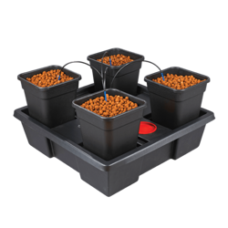 System Hydroponiczny Wilma 4 / 11L
