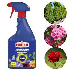 Saprol, Środek Na Choroby Grzybowe Do Roślin, Substral, 750ml