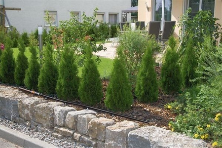 Micro-Drip - Naziemna linia kroplująca 13 mm (1/2") 50m 4L/h