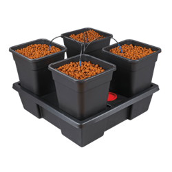 System Hydroponiczny Wilma Large 4 /18L (75x75xh20cm)
