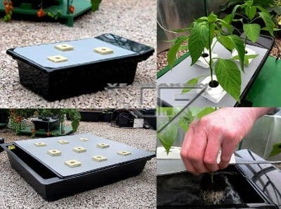 System Hydroponiczny NFT GRO-TANK, 50L, 75x75x21cm