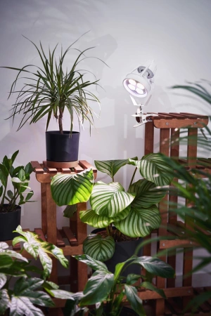 VERTICANA® Clip Holder, Biały, Oprawa na Klips z Kablem 2m i Włącznikiem