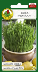 Owies Wielkanocny