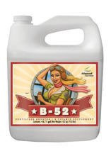 Advanced nutrients B-52, 10L