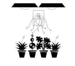 Generator Co2 Do Uprawy Roślin, Boost Buddy, Max Powierzchnia 1,2x1,2m