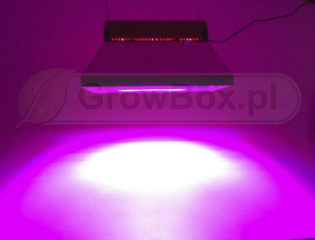 Odbłyśnik koncentrujący PhytoLED seria GX.dla modelu GX300