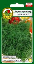 Nasiona Kopru Ambrozja