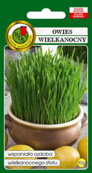 Nasiona Owies Wielkanocny