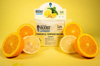 Regulator Wilgotności Integra Boost 62% do 67g Suszu Terpene Essentials Limonene