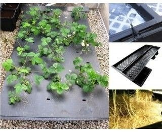 System Hydroponiczny NFT MULTI-DUCT, 115L, 339x117xh34cm