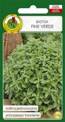 Nasiona Bazylia Verde