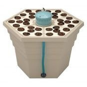 RainForest 2  Aero-Hydro 36 roślin